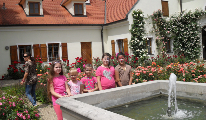 Zobraziť fotografiu