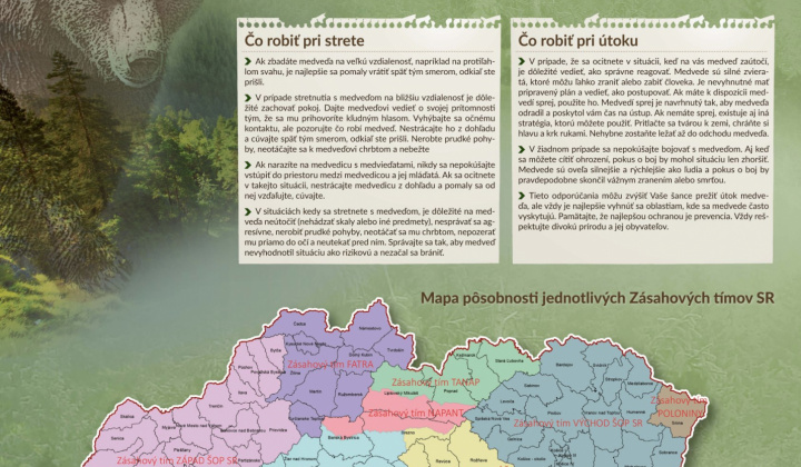 Fotka - Ako sa správať v oblastiach s výskytom medveďa hnedého