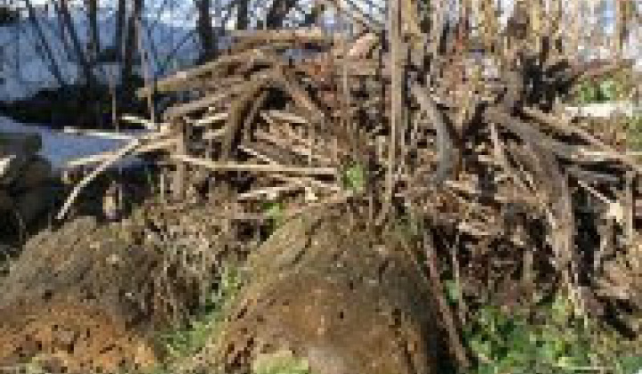 Fotka - Ukončenie vývozu biologicky rozložiteľného odpadu, zeliny, konárov na Príhon 